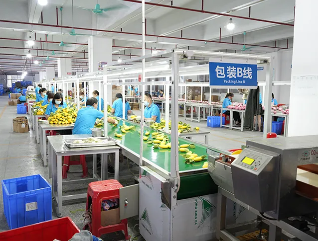 Emballage de produits