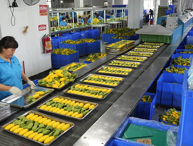 Inspection des produits